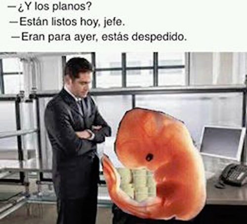 Meme-Feto-17