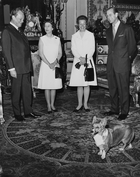 La reina Isabel II perdió a su último corgi Willow