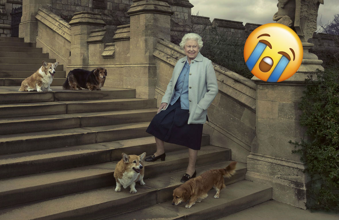 Corgi de la reina Isabel II murió