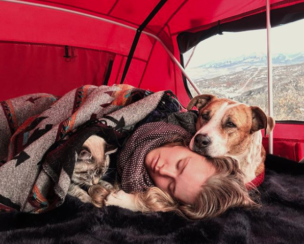 amistad-perro-gato-callejeros-corazon-instagram-henry-baloo