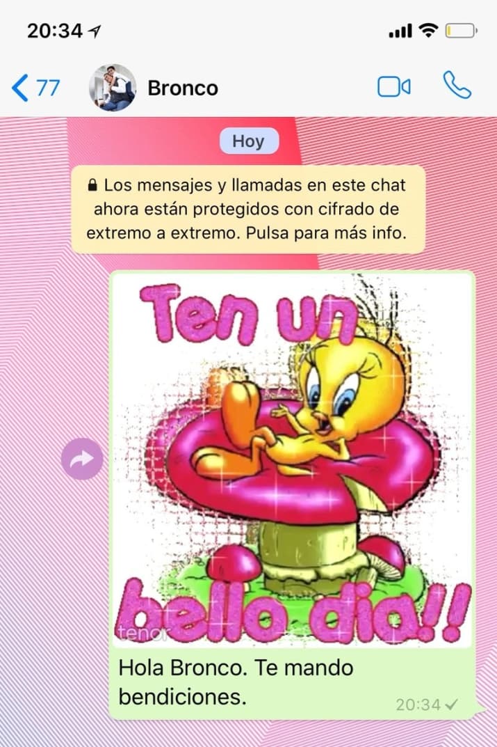 Bronco WhatsApp