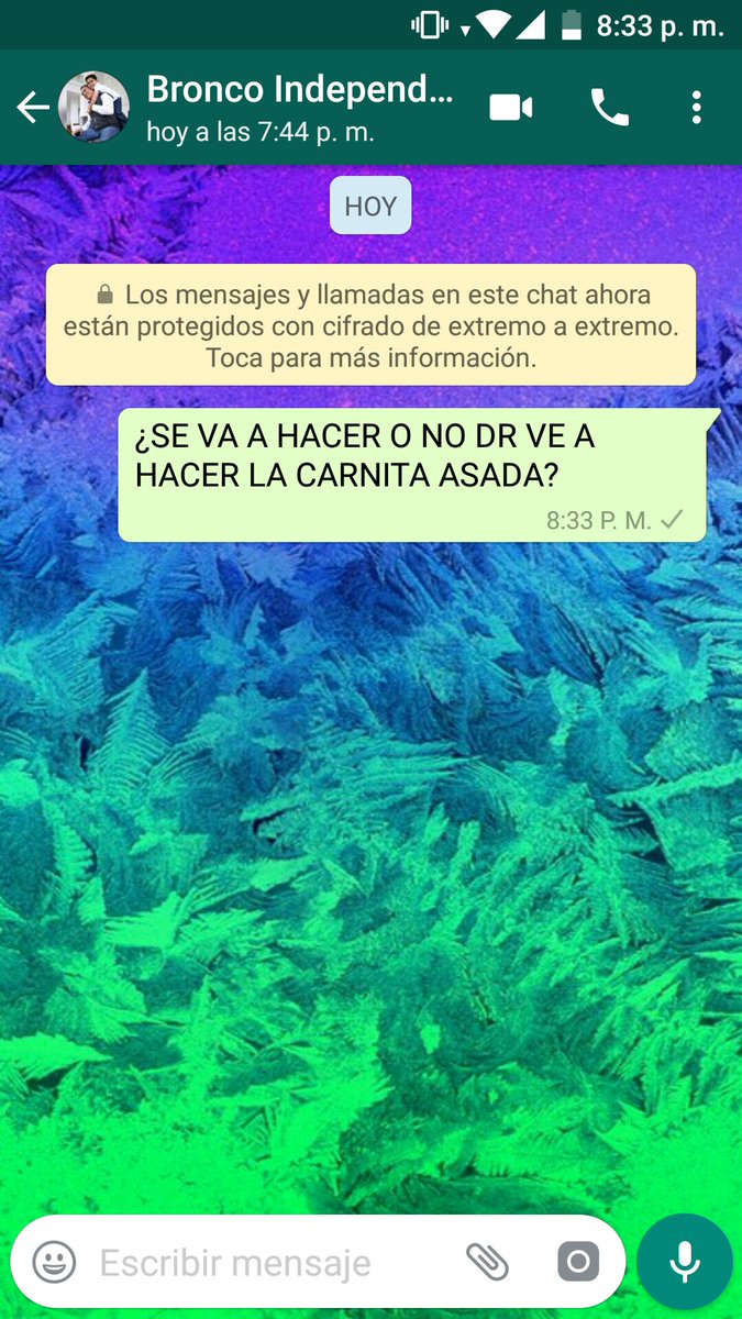 Bronco WhatsApp