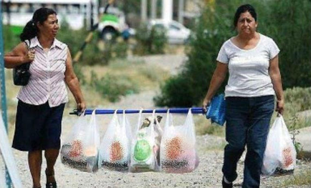 Inventos del ingenio mexicano