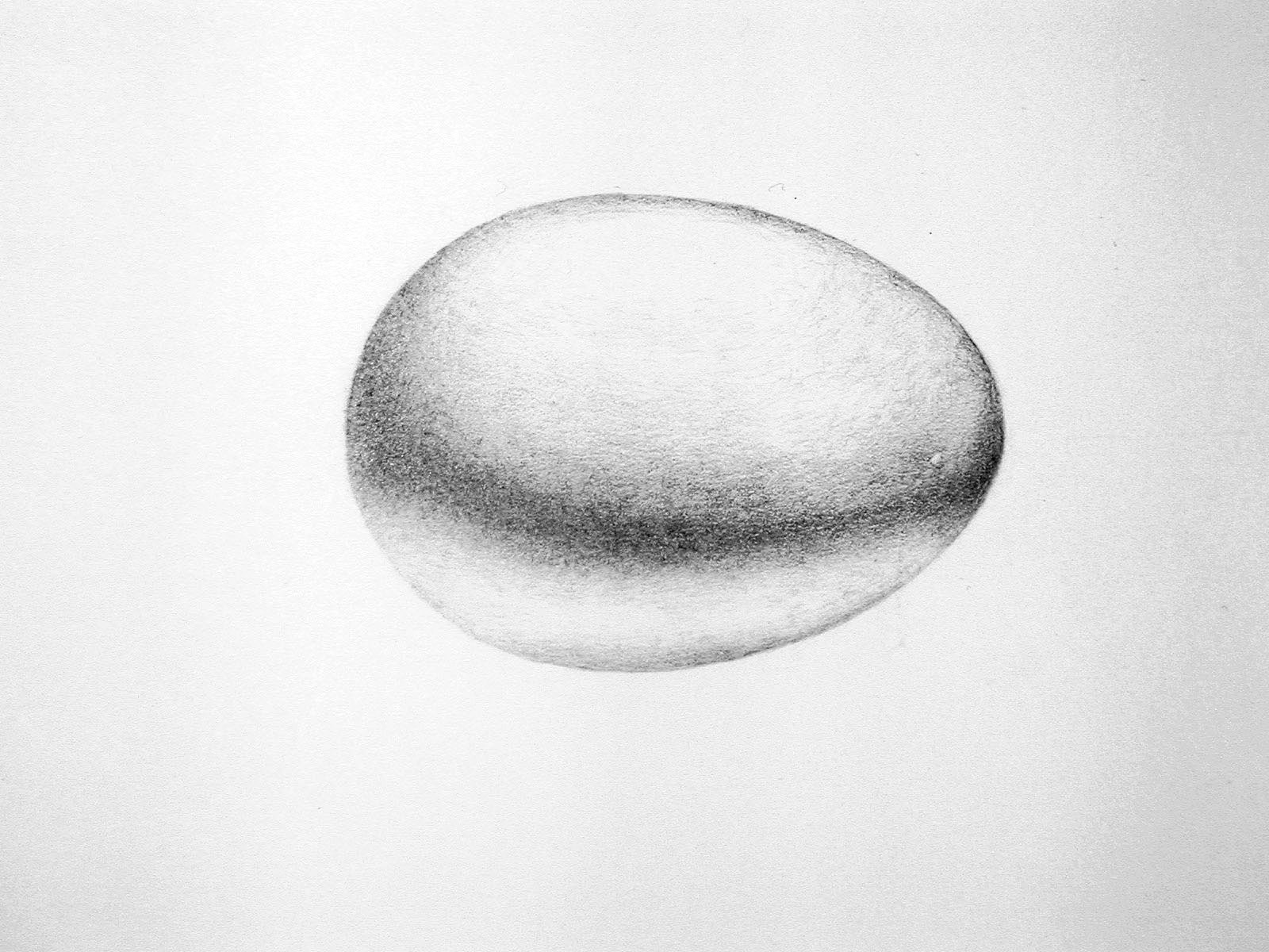 dibujo-detallado-huevo-gallina-para-conocer-partes-educacion