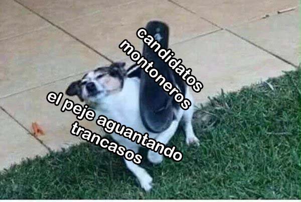AMLO meme debate presidencial