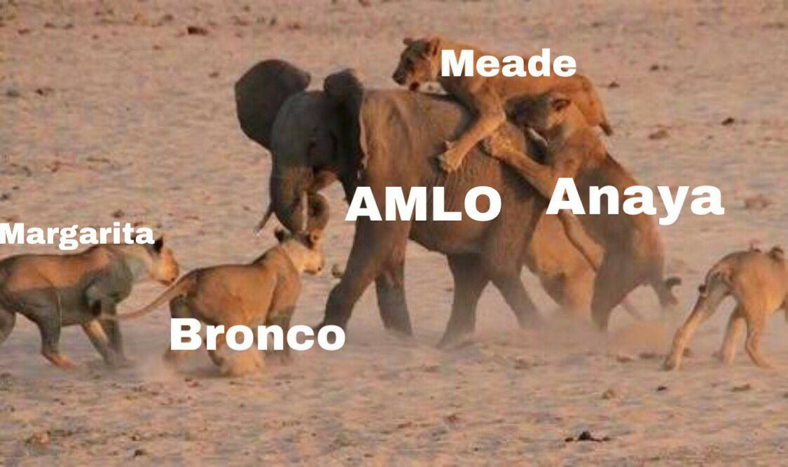 Memes de AMLO en el debate presidencial