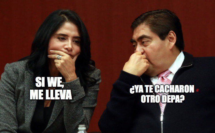 memes-casasaleb-twitter-alejandra-barrales-politica-mexico-elecciones