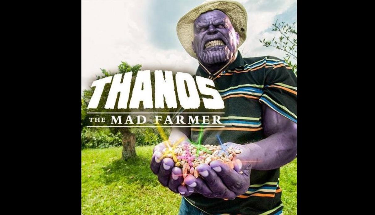 memes-final-avengers-infinity-war-marvel-3