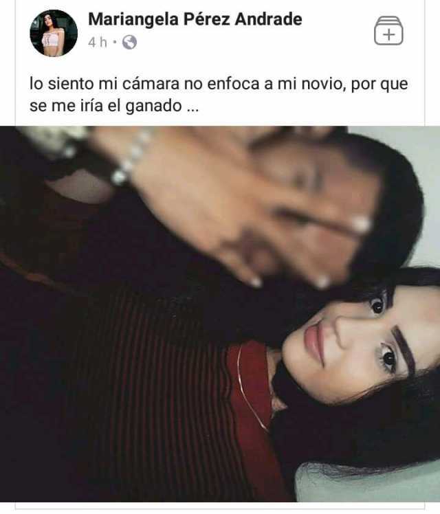 perdon-mi-camara-no-enfoca-1