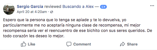 Ofrecen recompensa por encontrar a perro perdido