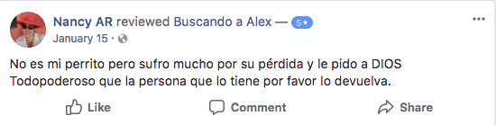 Ofrecen viaje a Rusia por recuperar a perro
