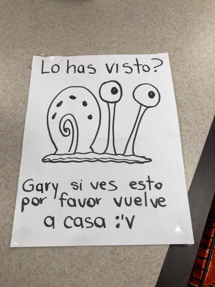 saltillenses-buscan-mascota-bob-esponja-confundidos-mexico