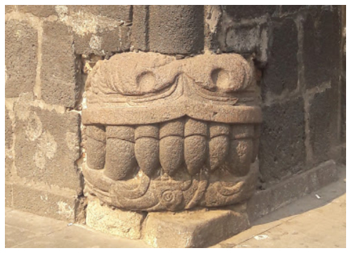 serpiente-museo-ciudad