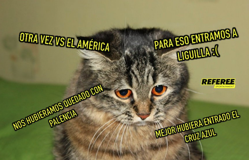 Partido América Pumas Goles Memes Reacciones