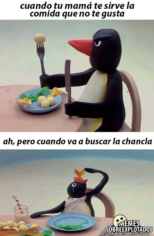 Memes-de-pingu
