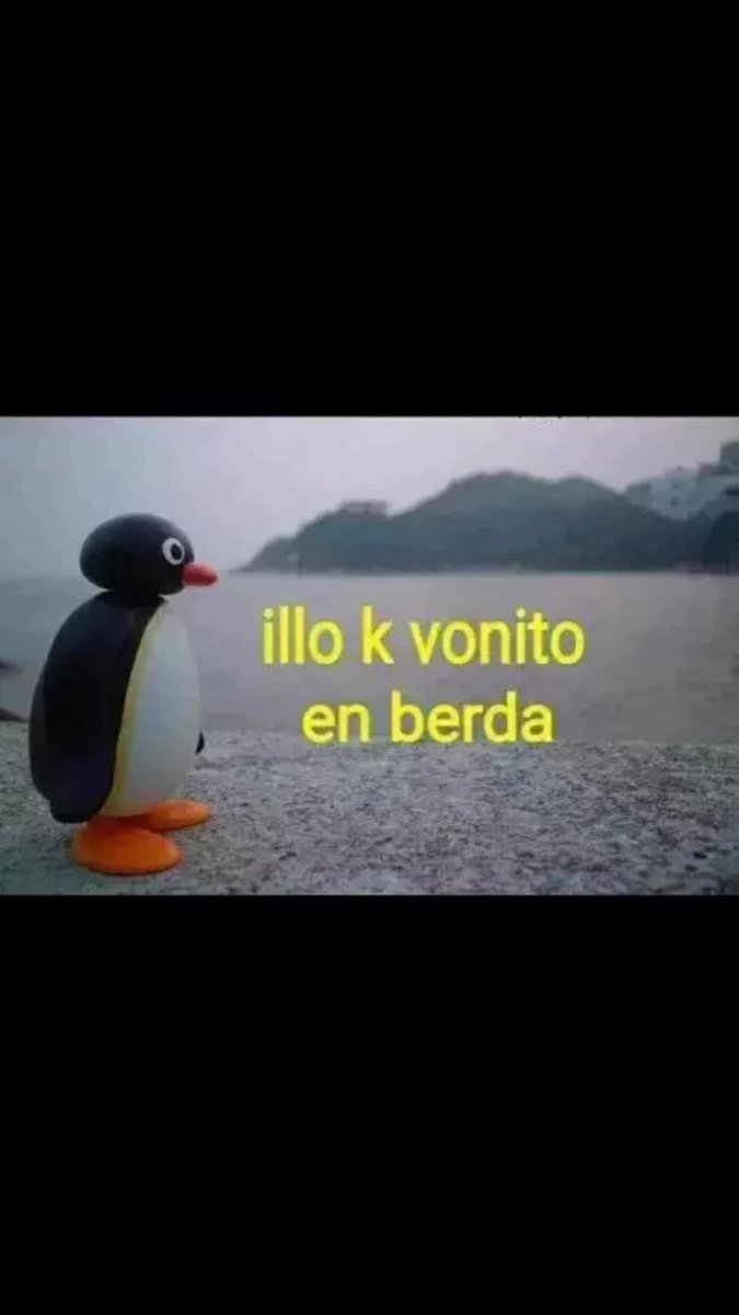 Memes-de-pingu