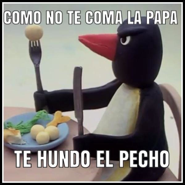 Memes-de-pingu