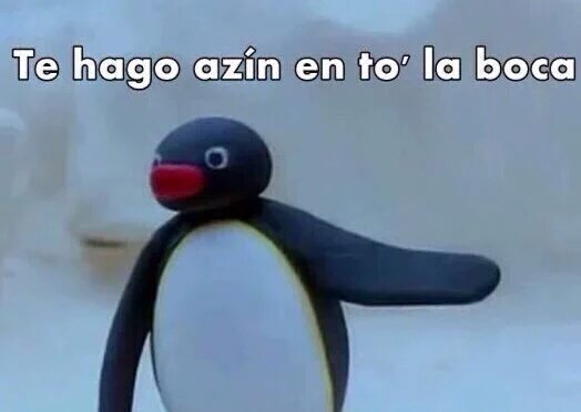 Memes-de-pingu