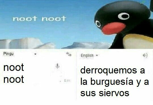 Memes-de-pingu
