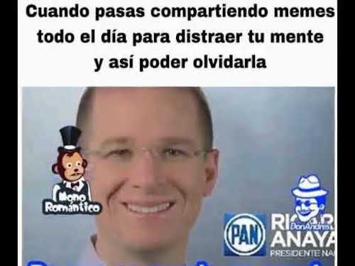 Ricardo Anaya Candidato Presidencia Sonrisa Panista