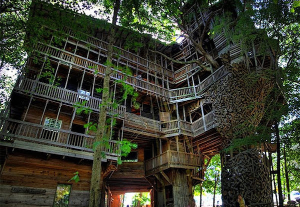 Ejemplos increíbles de que la arquitectura y la naturaleza pueden llevarse bien