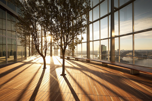 Ejemplos increíbles de que la arquitectura y la naturaleza pueden llevarse bien