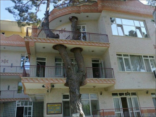 Ejemplos increíbles de que la arquitectura y la naturaleza pueden llevarse bien