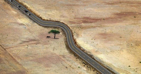 Ejemplos increíbles de que la arquitectura y la naturaleza pueden llevarse bien