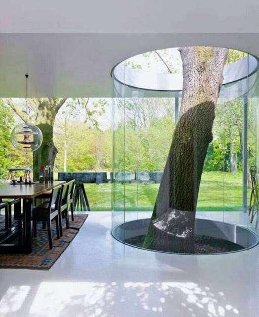 Ejemplos increíbles de que la arquitectura y la naturaleza pueden llevarse bien
