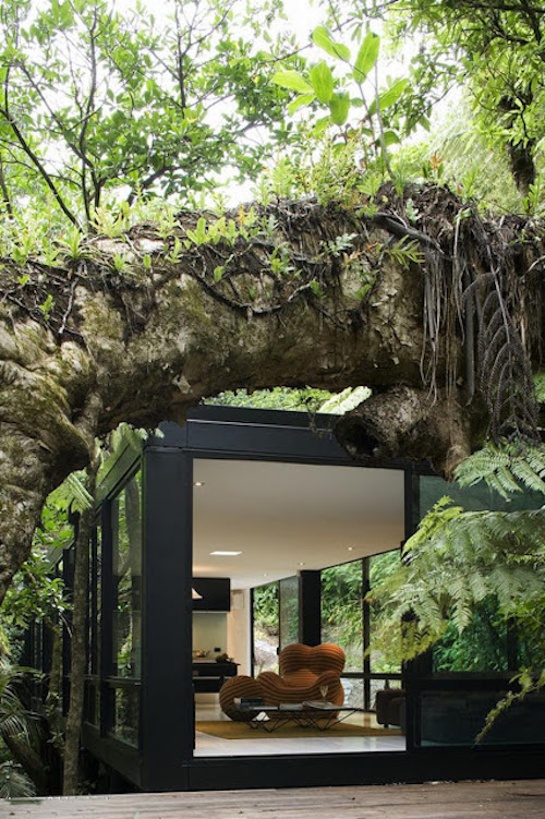 Ejemplos increíbles de que la arquitectura y la naturaleza pueden llevarse bien