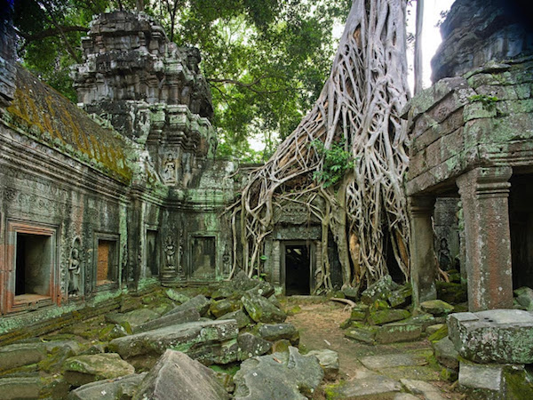 Ejemplos increíbles de que la arquitectura y la naturaleza pueden llevarse bien