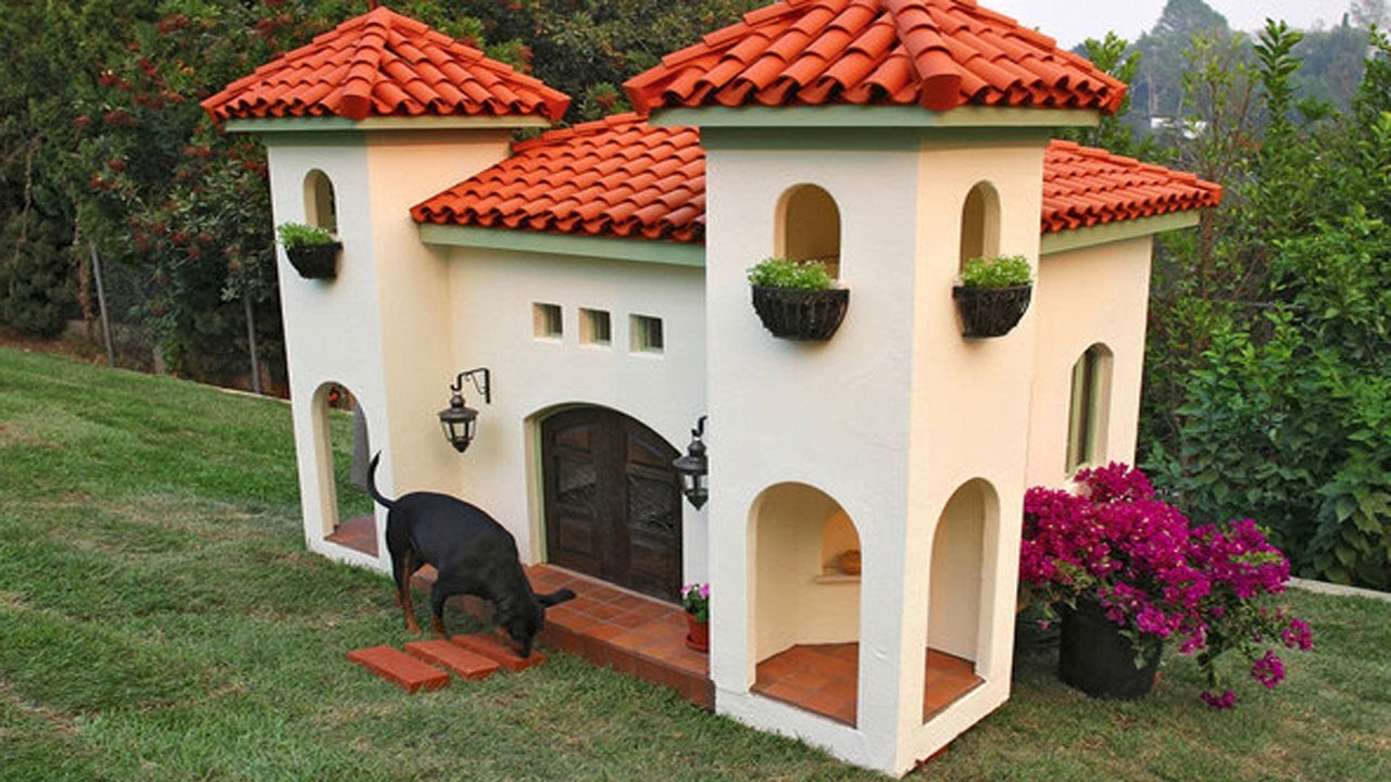 Queman-casa-de-perrito-en-chle