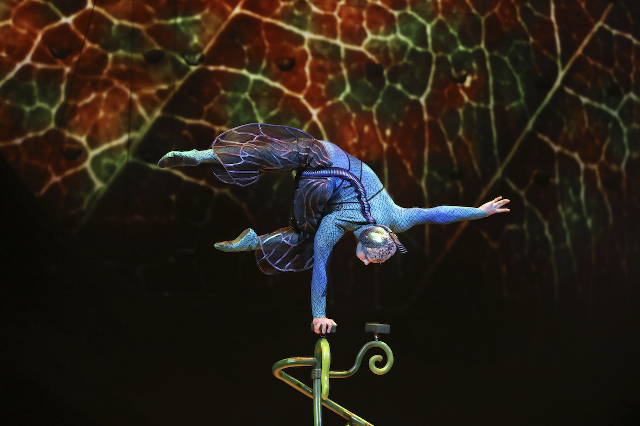 Cirque-du-Soleil-Parque-TemÃ¡tico-Nuevo-Vallarta-Circo