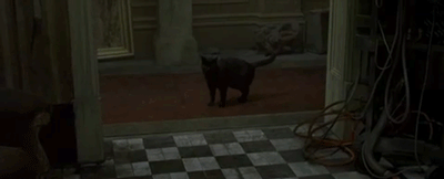 Deja Vu de Neo en Matrix