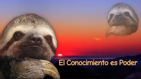 Joven chairo se tatua a amlo