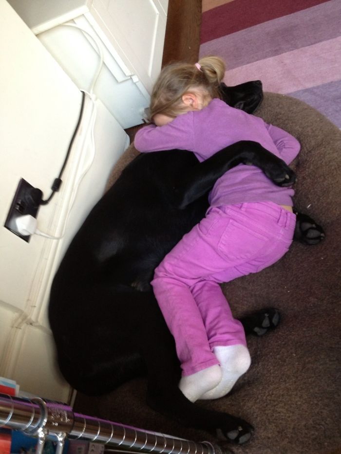 fotos-revelan-amor-incondicional-mascotas-galeria-perros-gatos