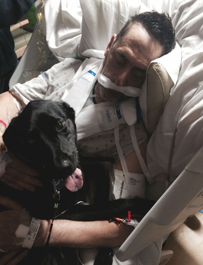 fotos-revelan-amor-incondicional-mascotas-galeria-perros-gatos