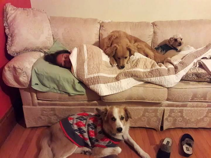 fotos-revelan-amor-incondicional-mascotas-galeria-perros-gatos