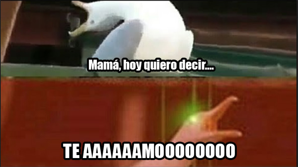 Memes dia madre
