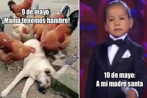 Memes dia de las madres