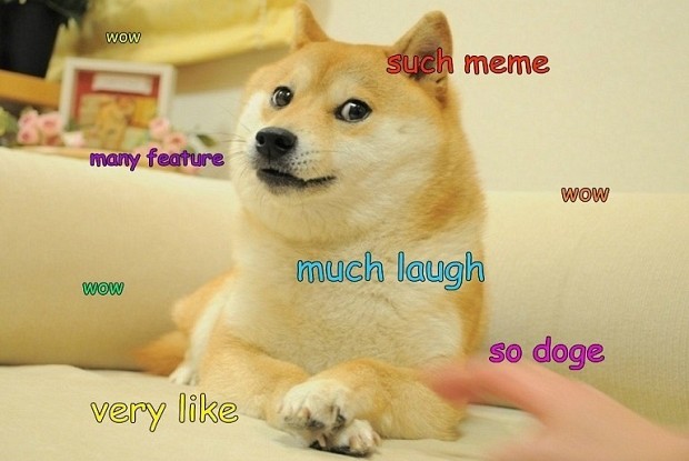 meme doge
