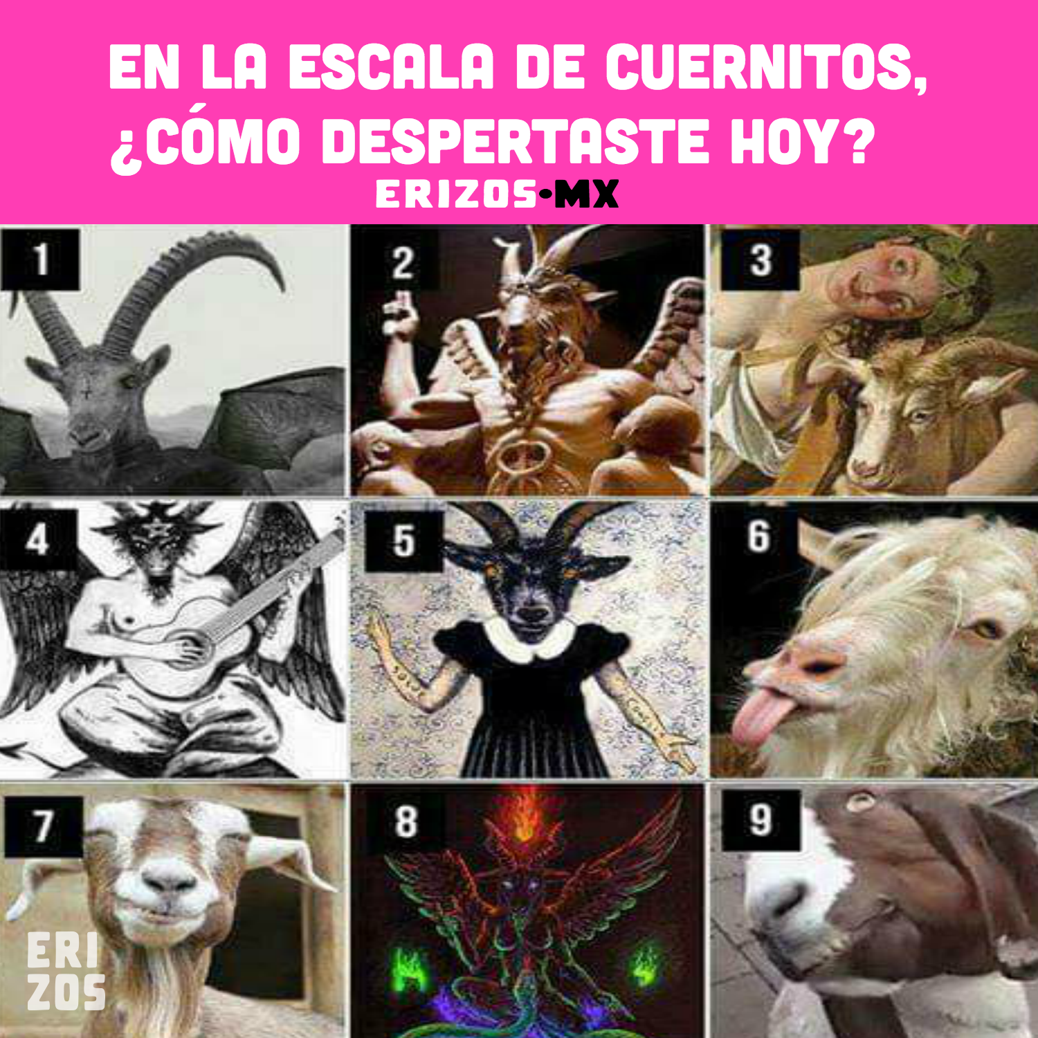 meme-erizos-escala-cuernitos-diablo-satan