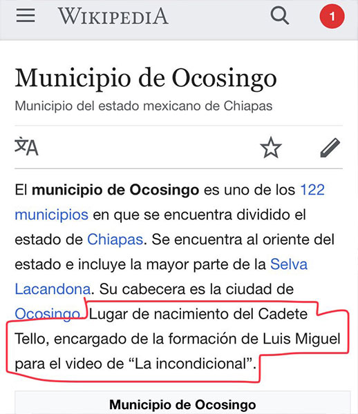 meme-luis-miguel-serie-netflix-tello-cadete