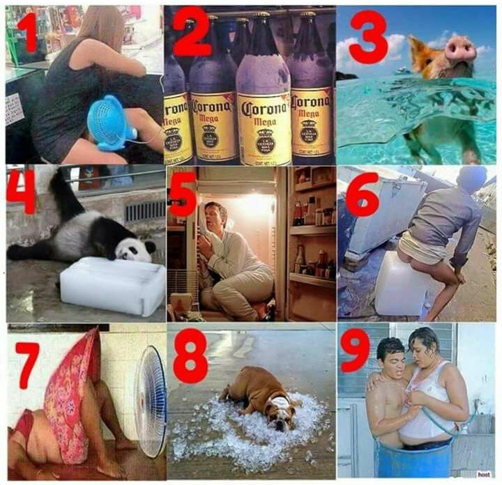 Memes del calor