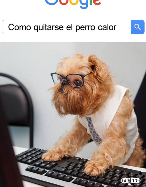 Memes del calor