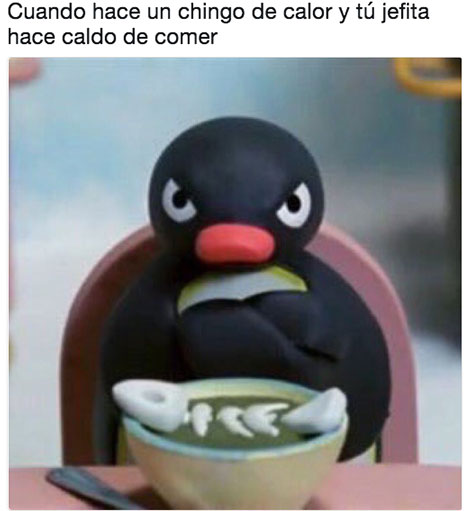 Memes del calor