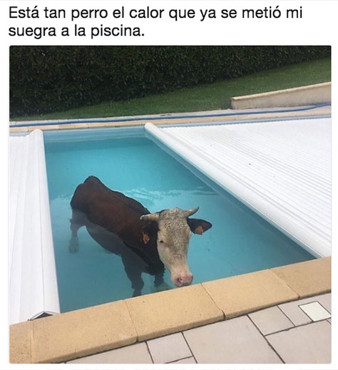 Memes del calor
