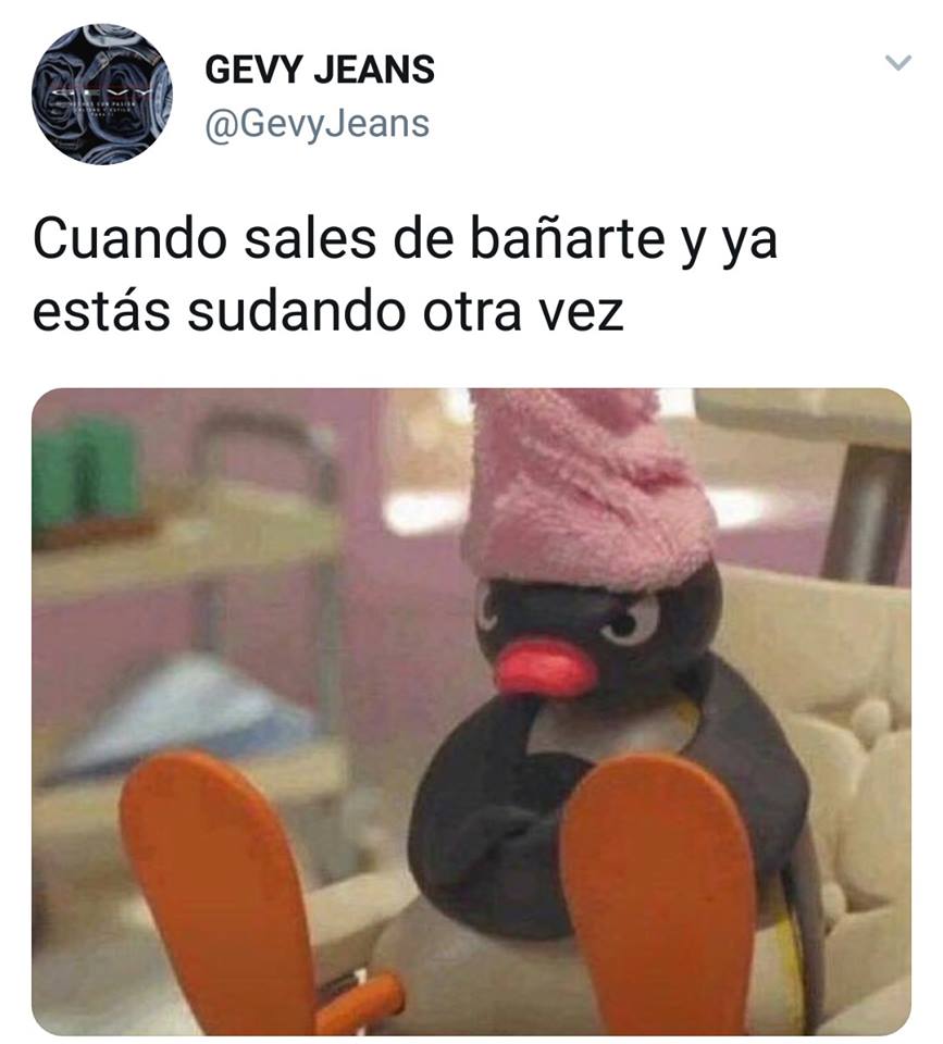 Memes-de-pingu