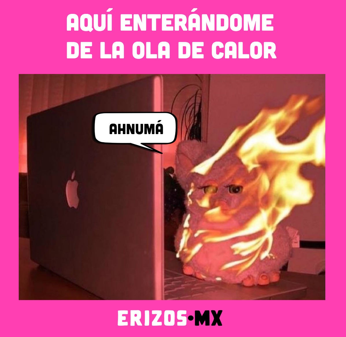 memes del calor