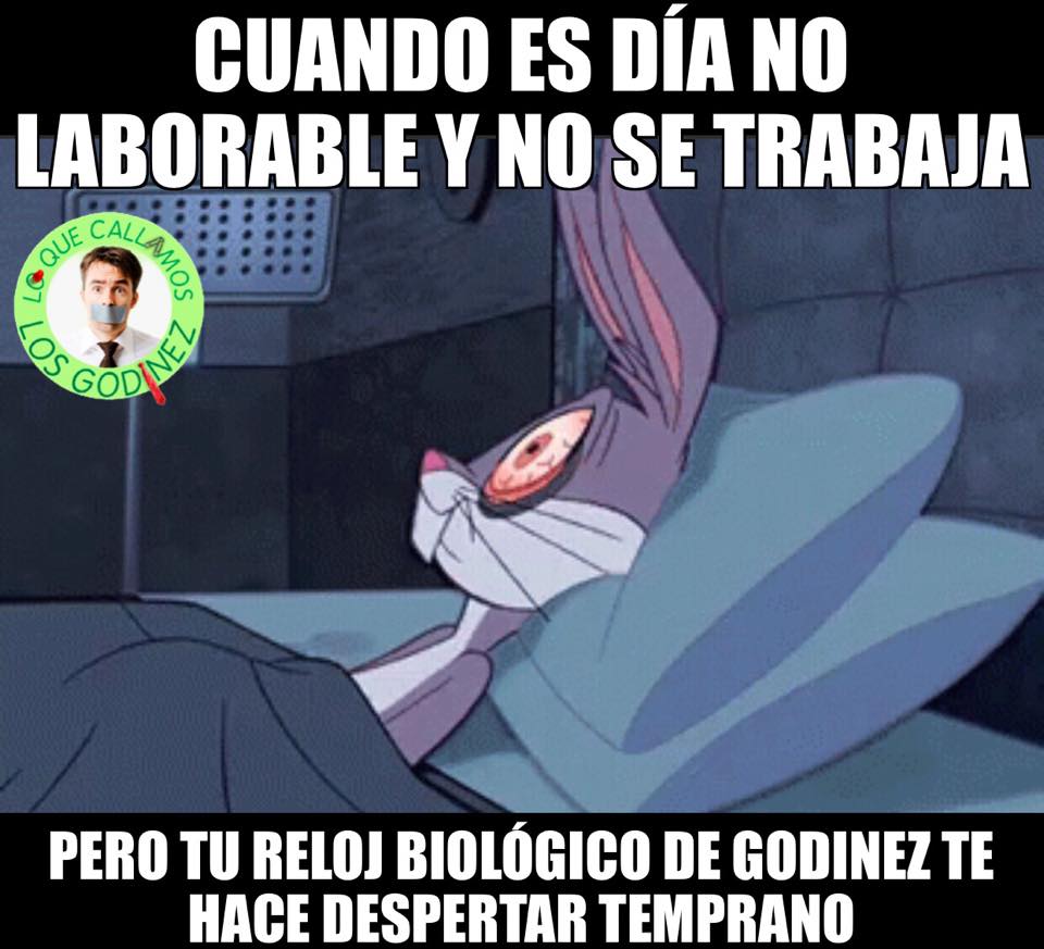 memes-dia-trabajo-regreso-oficina-humor-2018